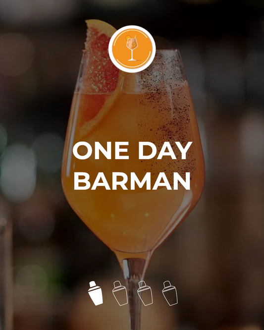 ONE DAY BARMAN